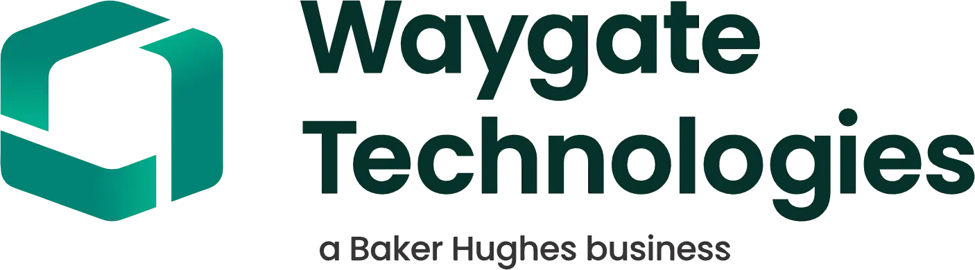 GE Baker Hughes (Waygate Technologies) logo